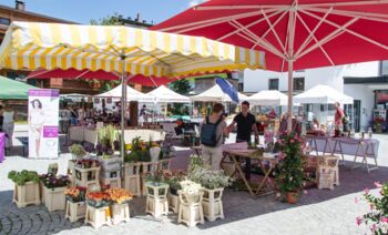 Tannbergmarkt