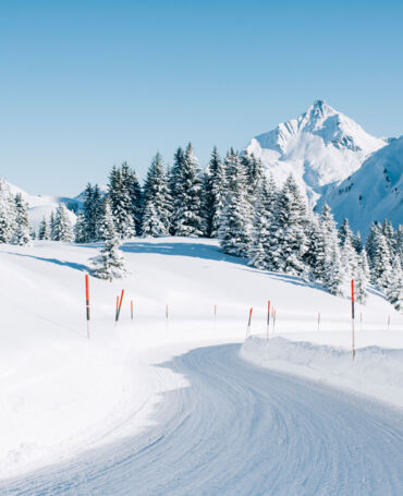 Straße_Winter_LZTG_by_Daniel_Zangerl_web.jpg