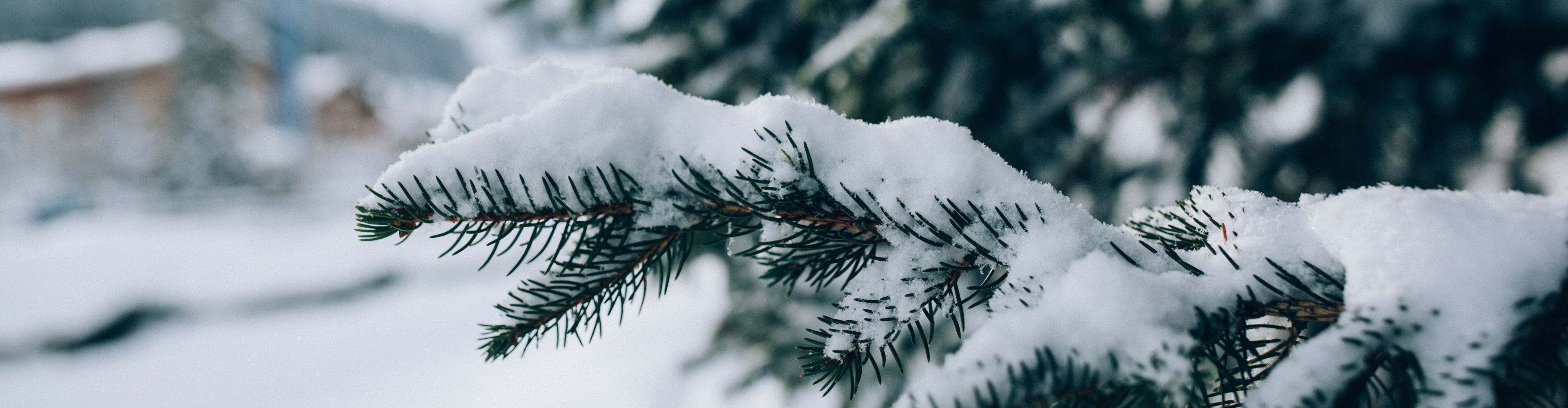 Dorf_Winter_LZTG_by_Daniel_Zangerl_web (48)